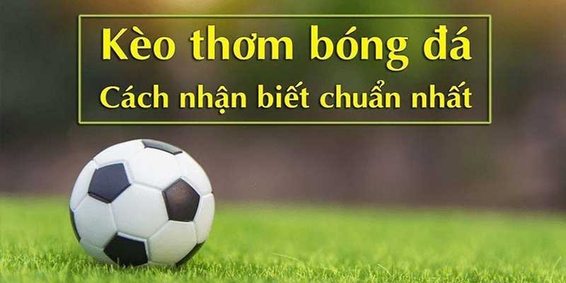 Kinh nghiệm đặt cược kèo thơm chính xác